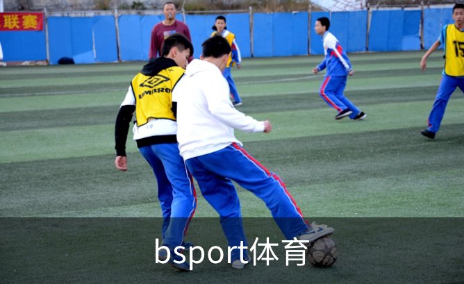 走进bsport体育